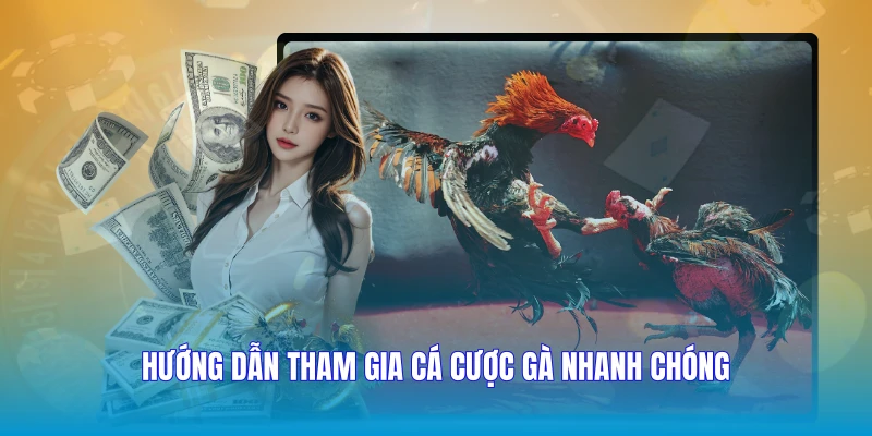 Hướng dẫn tham gia cá cược gà nhanh chóng