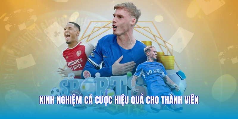 Kinh nghiệm cá cược hiệu quả cho thành viên